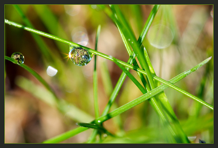  (700x477, 116Kb)