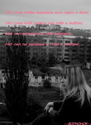 IMGP2646 (300x412, 81Kb)