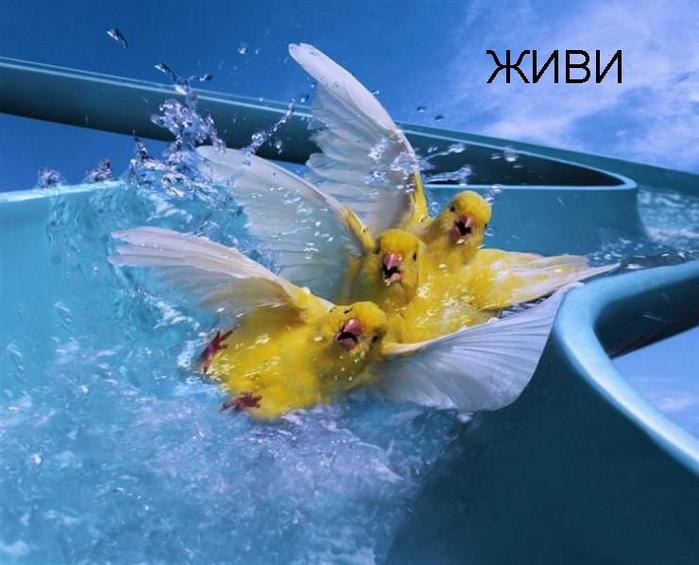  (699x565, 50Kb)
