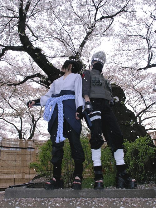  (500x666, 118Kb)