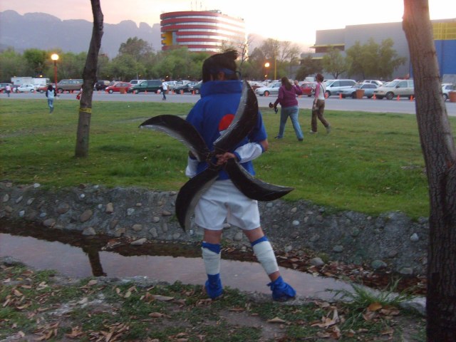  (640x480, 74Kb)
