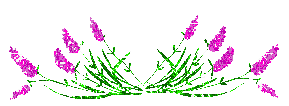 031 (289x106, 6Kb)