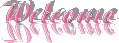 text28 (384x139, 23Kb)