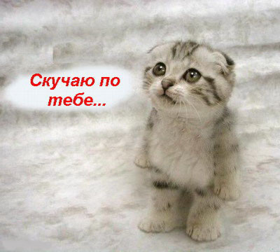  (400x360, 56Kb)