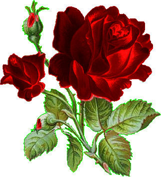  (323x355, 47Kb)