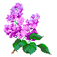  (81x81, 3Kb)