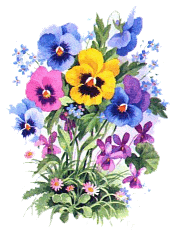 image00444 (186x232, 26Kb)