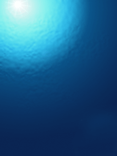 Screensaver (240x320, 236Kb)