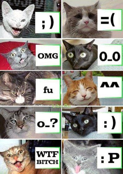 (396x560, 56Kb)
