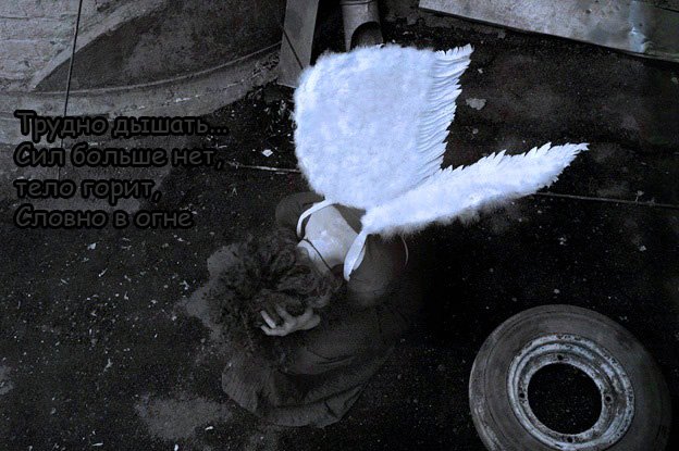  (624x415, 67Kb)