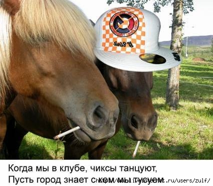 (425x370, 32Kb)