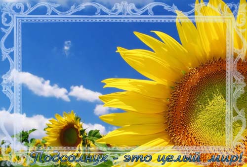  (500x340, 68Kb)