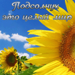  (150x150, 17Kb)