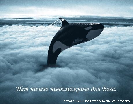  (460x359, 28Kb)