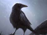 raven (150x113, 2Kb)