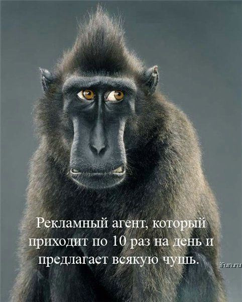  (482x600, 54Kb)