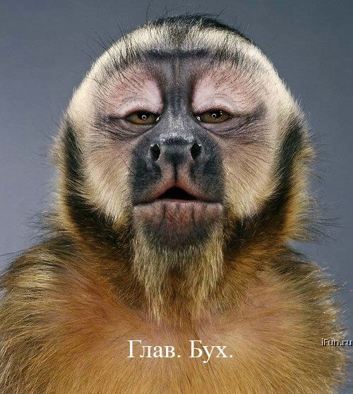  (500x559, 68Kb)
