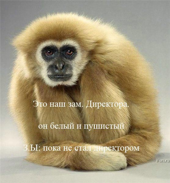  (556x600, 60Kb)