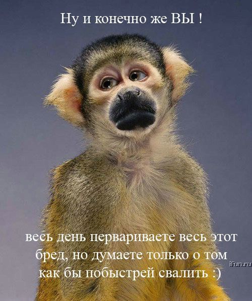  (500x598, 62Kb)