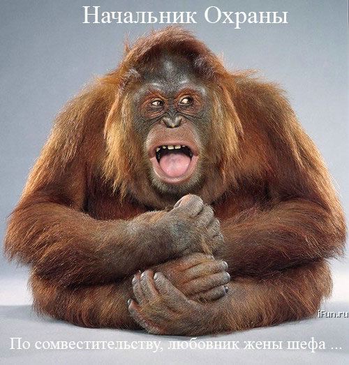  (500x523, 63Kb)