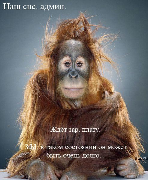  (493x600, 64Kb)