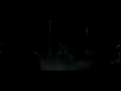  (240x180, 1769Kb)