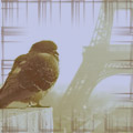  (120x120, 29Kb)