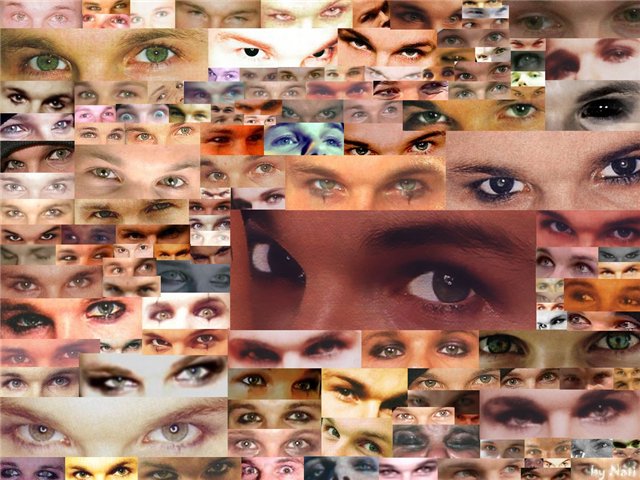  (640x480, 84Kb)