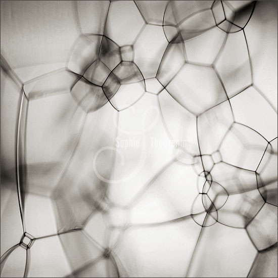  (550x550, 75Kb)