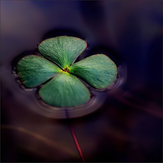  (550x550, 51Kb)