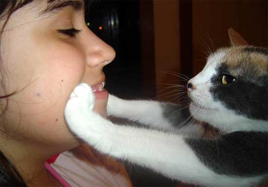  (550x384, 16Kb)