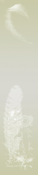  (130x590, 13Kb)