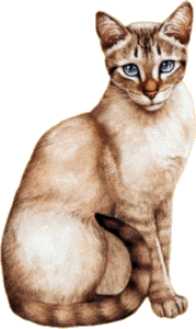  (179x300, 18Kb)