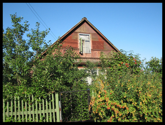 Голая жопа фоткала сама (69 фото) - порно нанж.рф