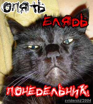 (300x334, 31Kb)