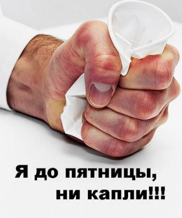 1186401145_ponedddk (375x450, 29Kb)