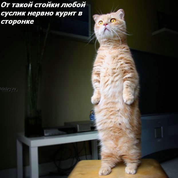  (622x622, 57Kb)