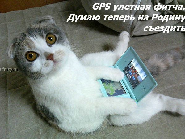  (599x449, 77Kb)