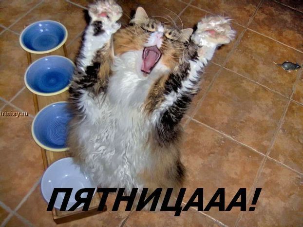 (622x466, 77Kb)