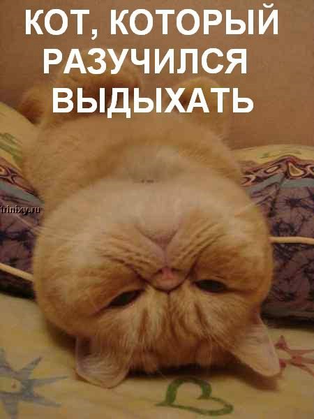  (450x600, 43Kb)
