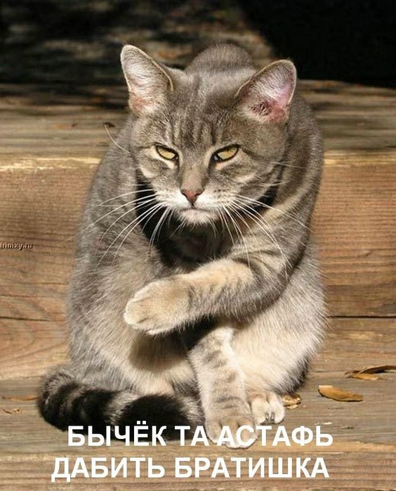  (564x699, 110Kb)