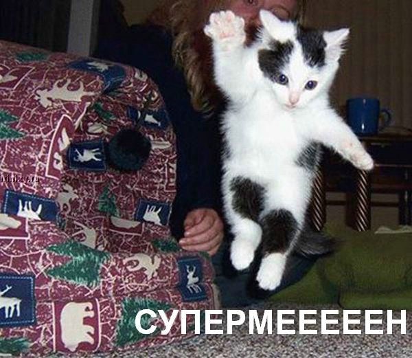 (600x521, 87Kb)
