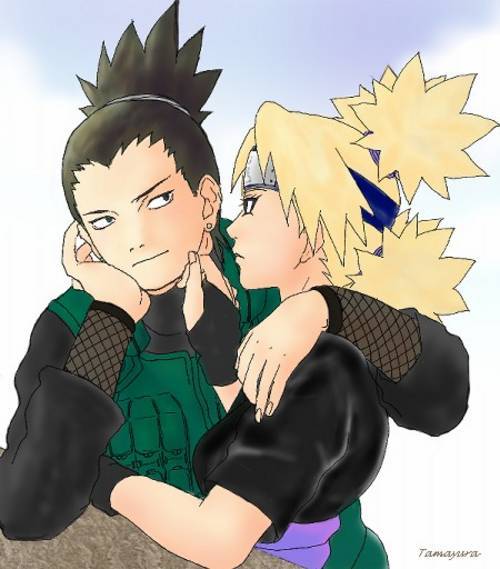 10156058_Shikatemanew (500x569, 36Kb)