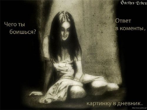  (500x375, 26Kb)