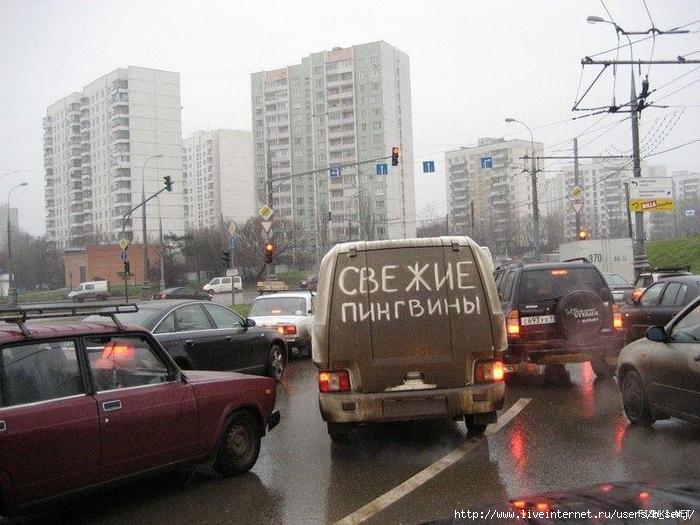  (700x525, 63Kb)
