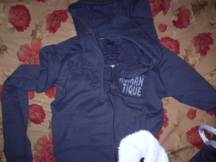 P3240060 (700x525, 107Kb)