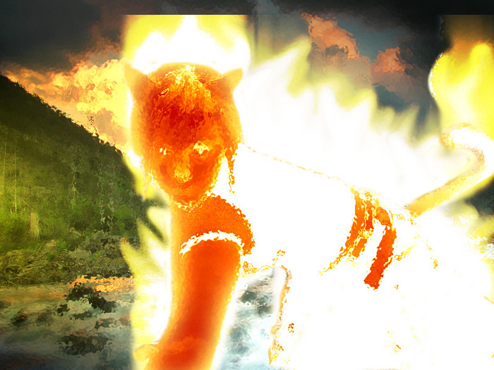  (700x525, 176Kb)
