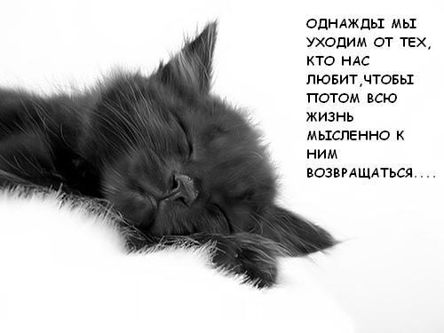 1187252685_cv (500x375, 21Kb)