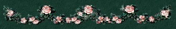  (344x58, 22Kb)