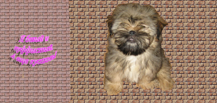  (699x331, 186Kb)